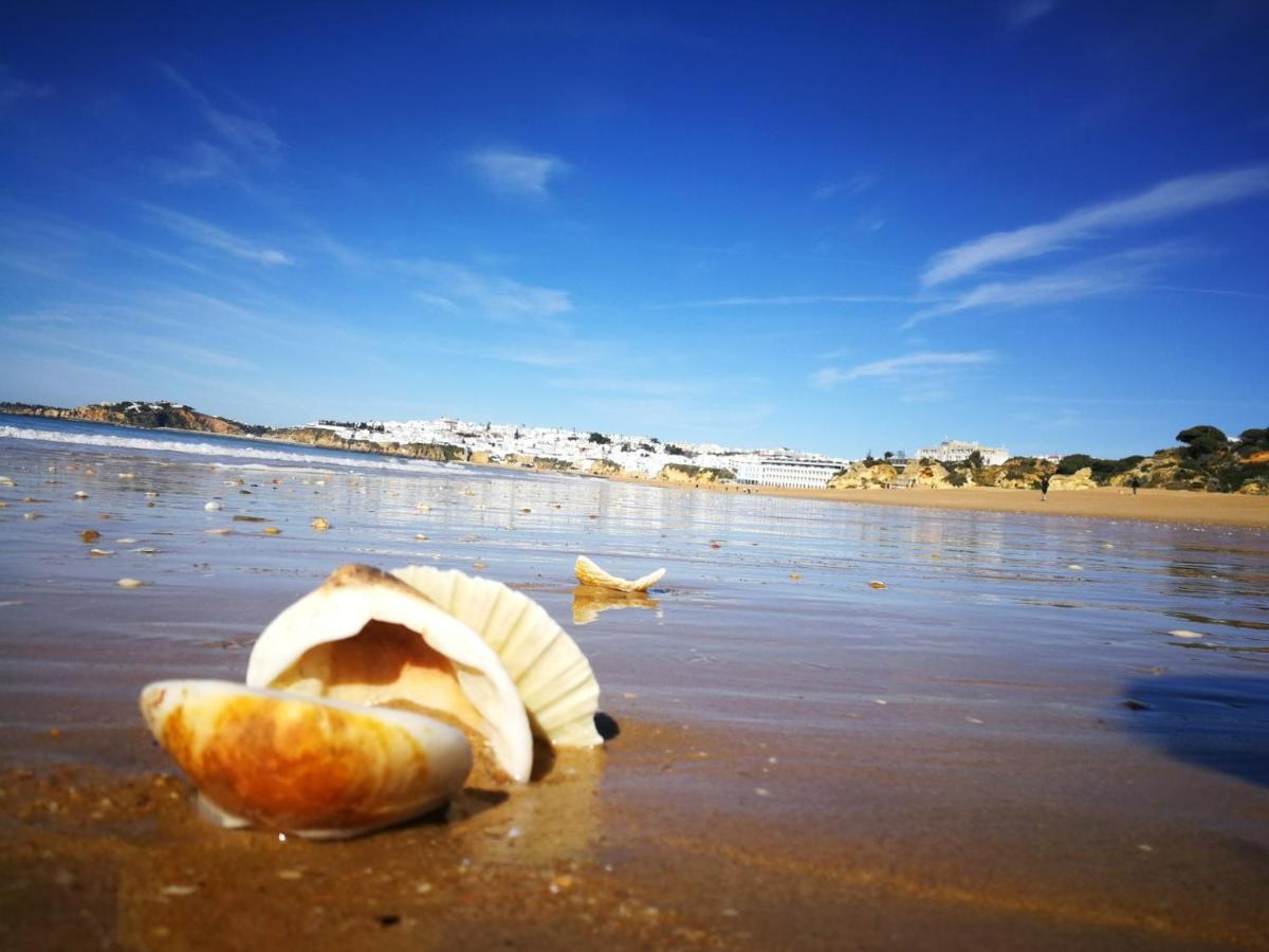 Luxe Condo With Pool, Airco And Seaview Balcony - Go4Portugal - Albufeira Esterno foto
